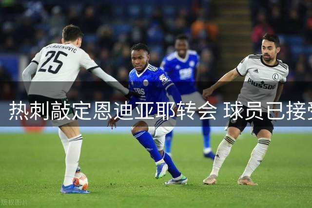 热刺敲定恩迪亚耶转会 球员已接受合同条款